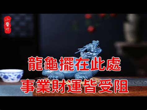 龍龜可以放房間嗎|【龍龜可以放房間嗎】龍龜鎮宅：完整破解功效、擺放、禁忌一次。